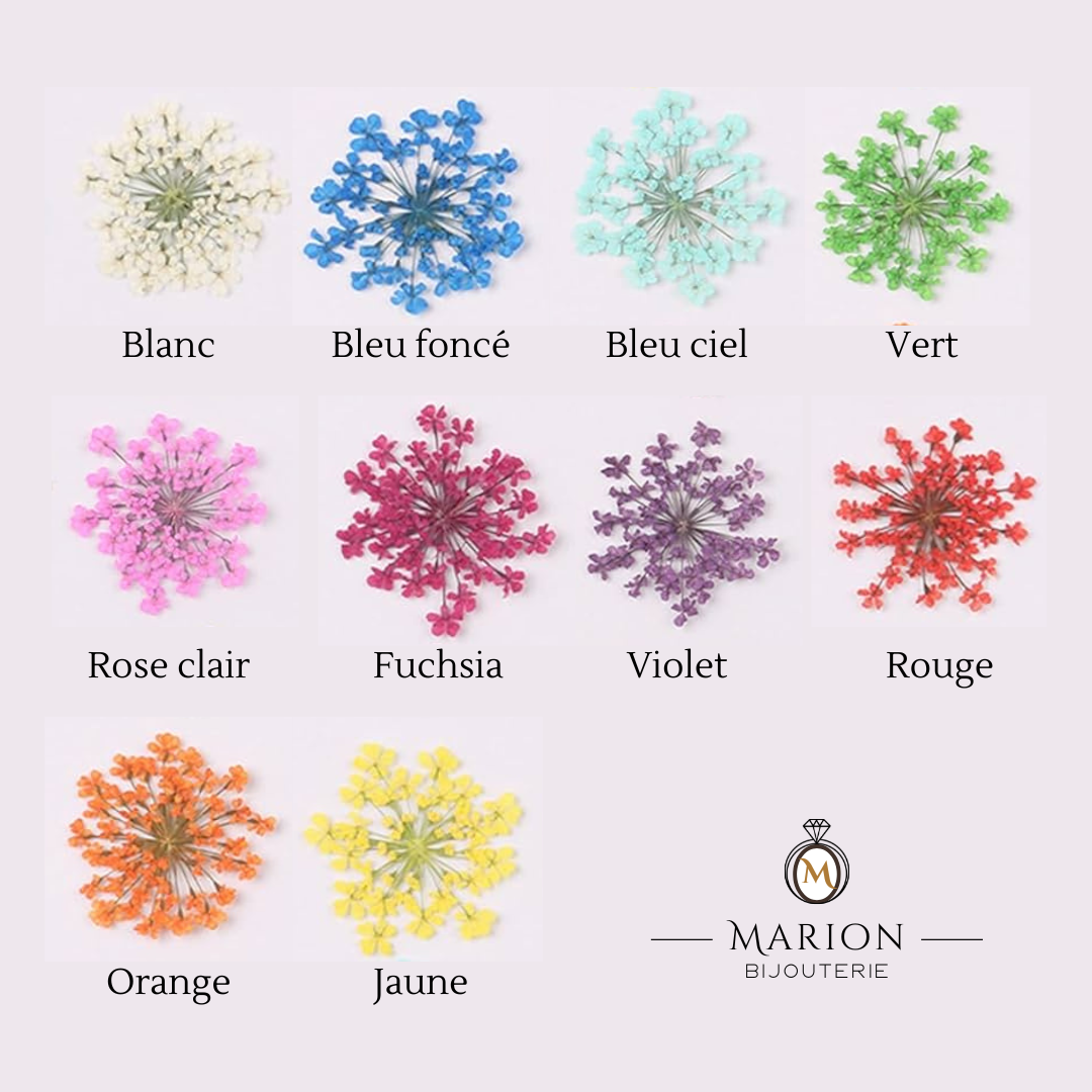 Bracelet - NOVA ( Bijoux souvenir)