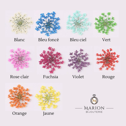 fleurs sechees