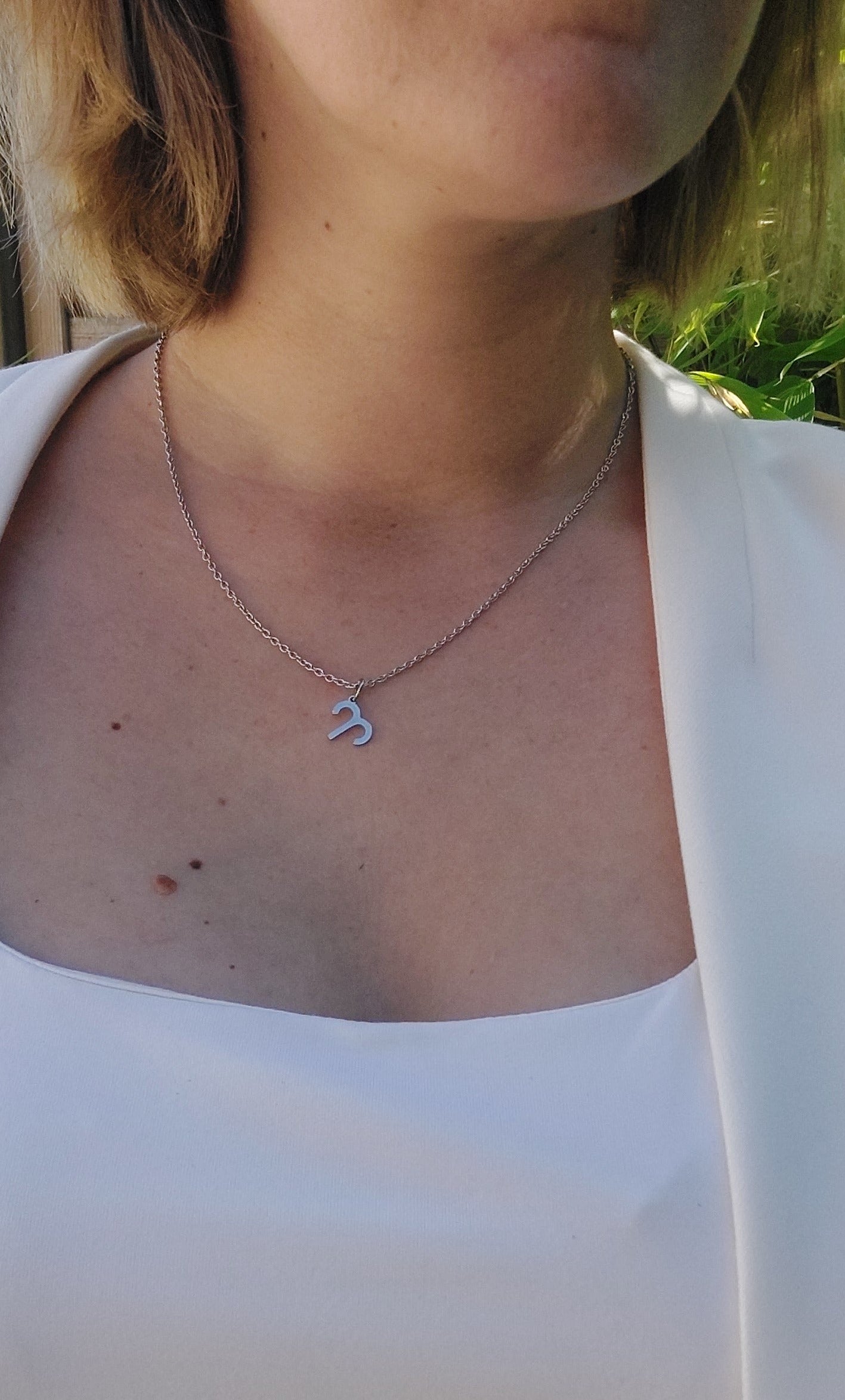 coller personnalisable en acier inoxydable et un pendentif en signe du zodiaque Bélier